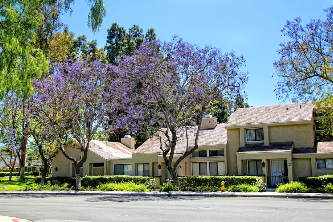 Work Image
